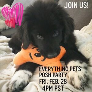 That’s a Wrap! Everything Pets Posh Party - Thank you!  2/28 @ 4PM PST